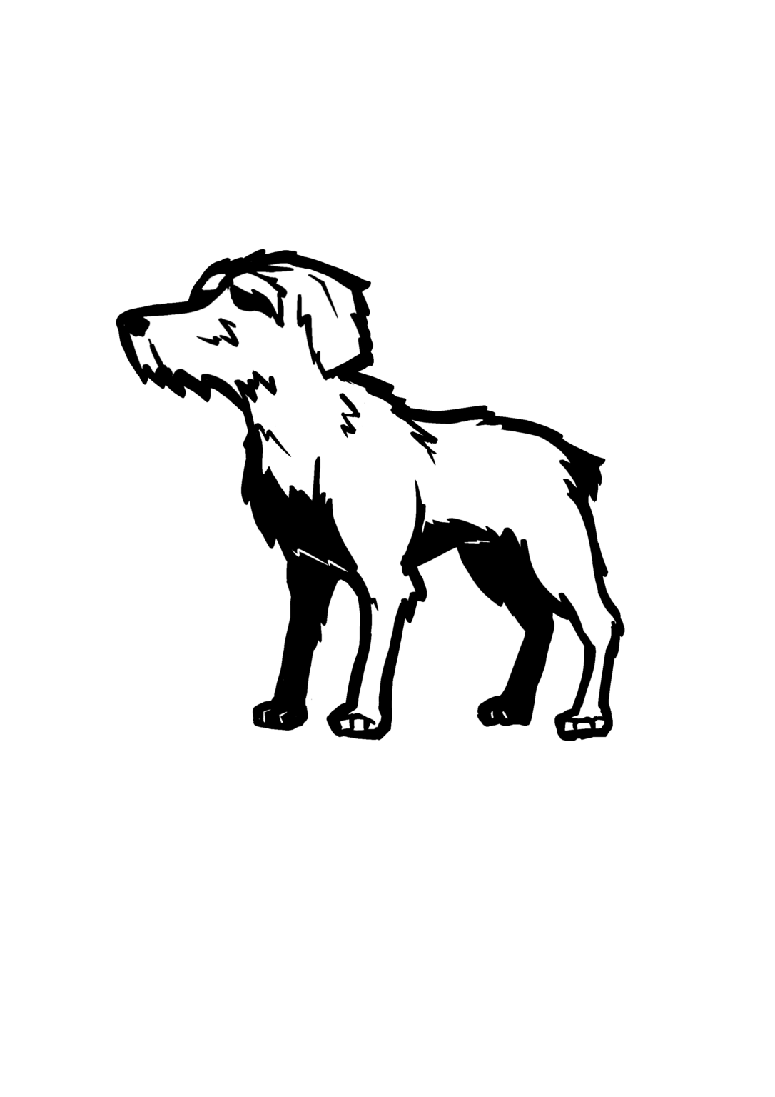 Dog Illustration